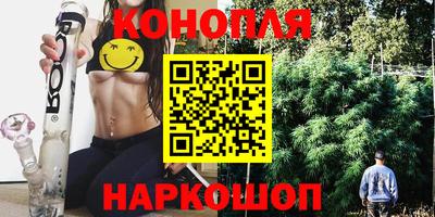 шишки Аша