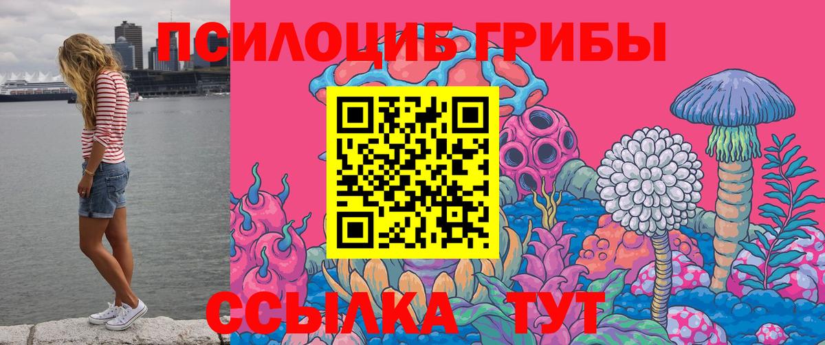 Галлюциногенные грибы мицелий  Вход с VPN  Галлюциногенные грибы прущие грибы  Выборг 